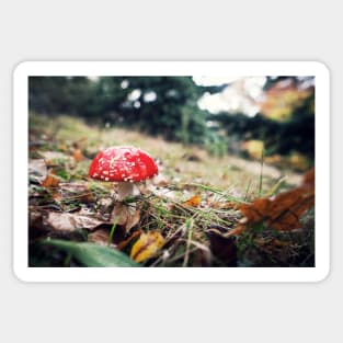 Red Mushroom with White Spots Sticker